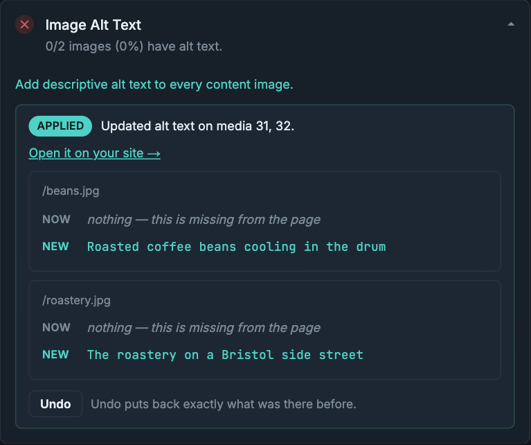 Alt text applied to two images, showing what each was before, and an Undo button.