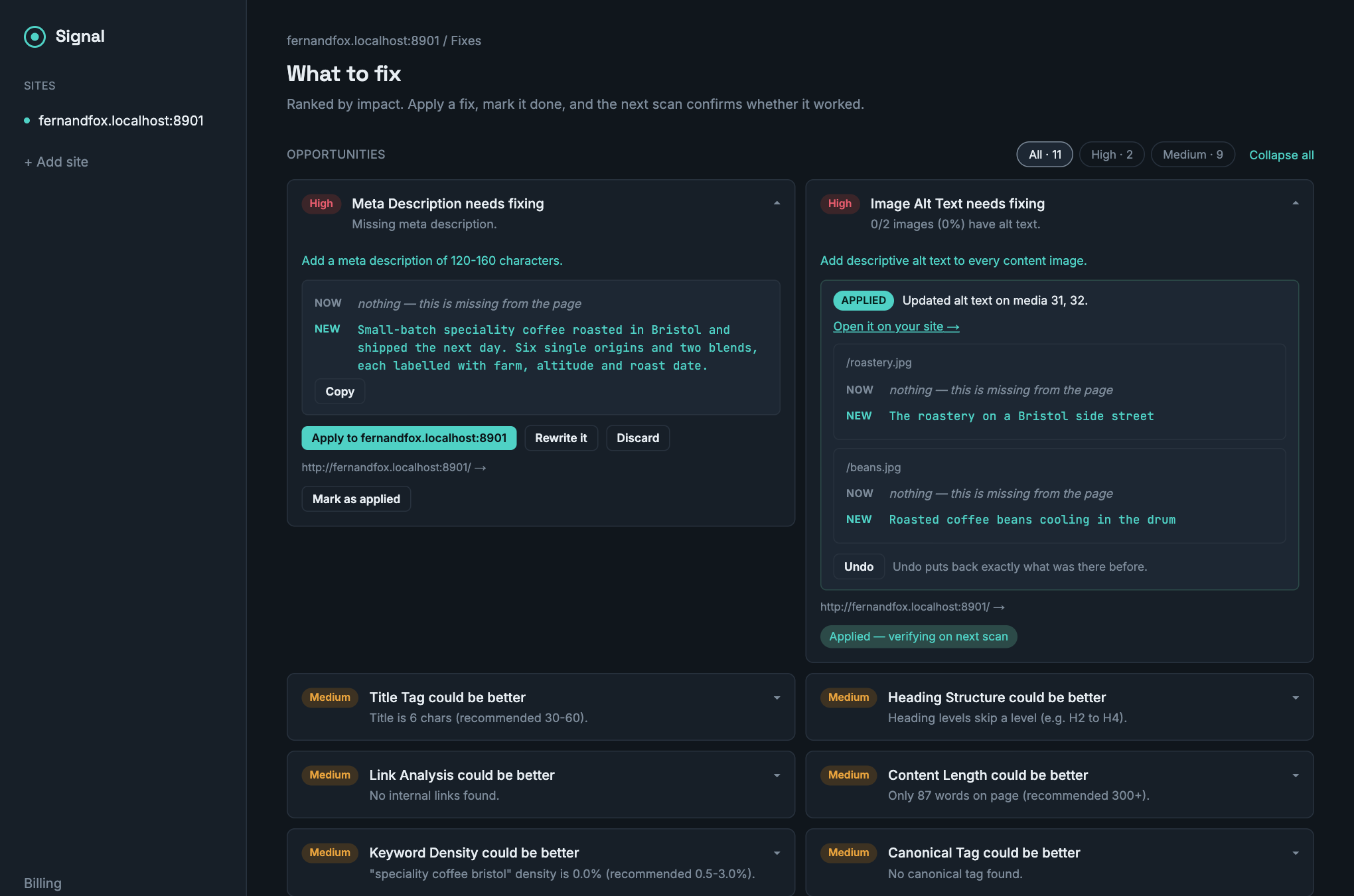 A prioritised opportunities list combining audit failures and keyword problems across a site.